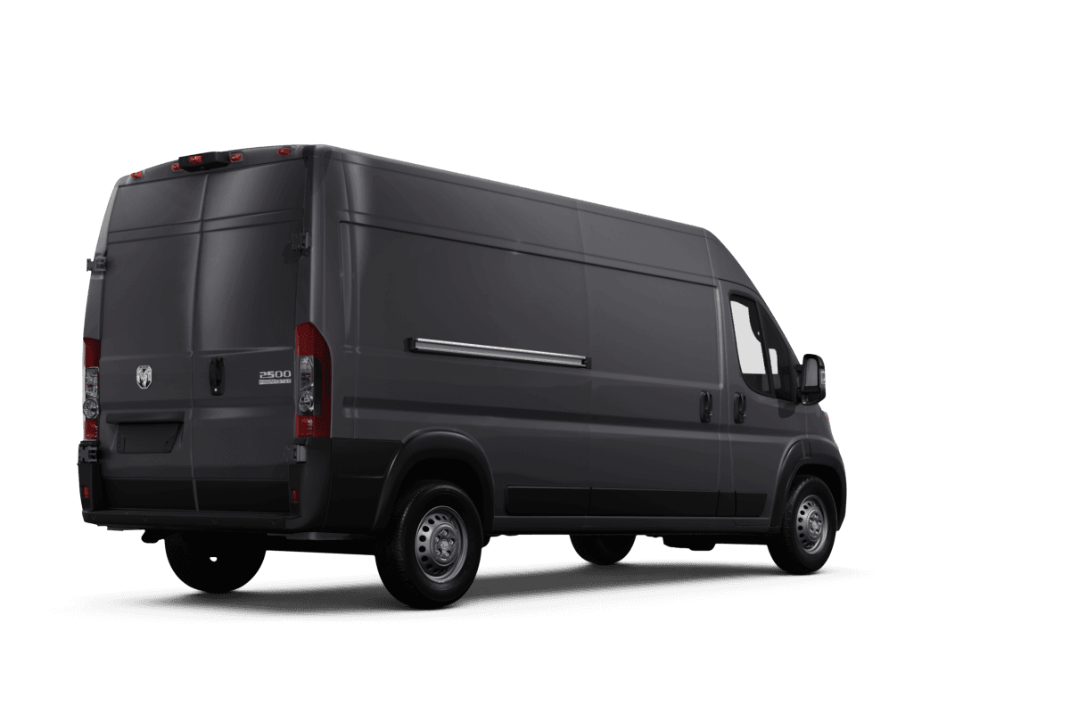 Ram false - Back view Ram false - Back view